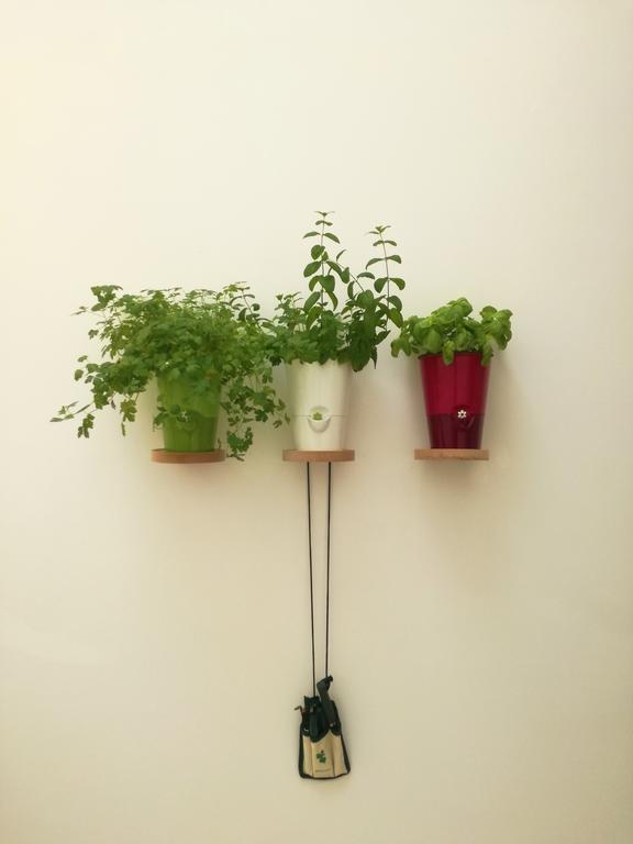 Le Luminarie - Creative Appartement